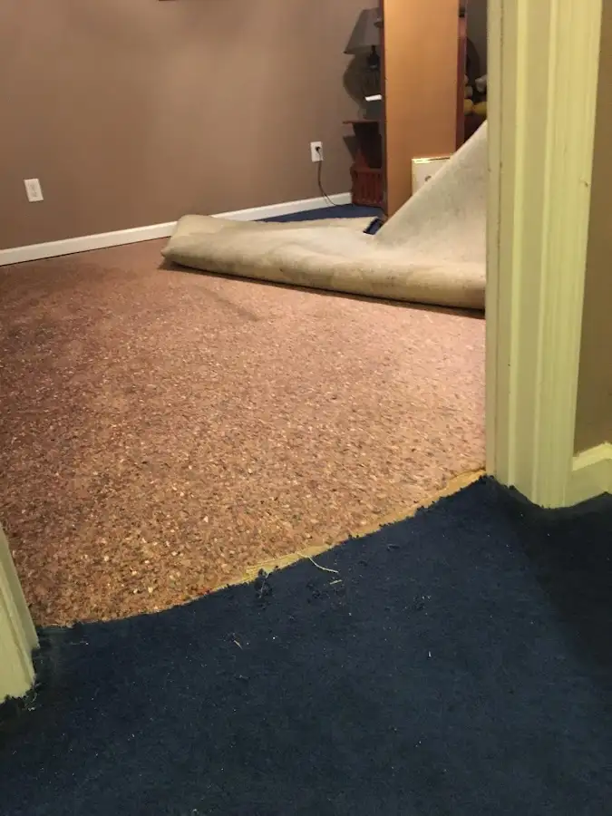Carpet pad removal revealing water damage during Water Mitigation Services in Brecknock